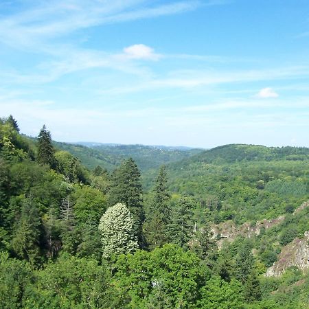 L'Hostellerie De La Vallee Gimel-les-Cascades Dış mekan fotoğraf